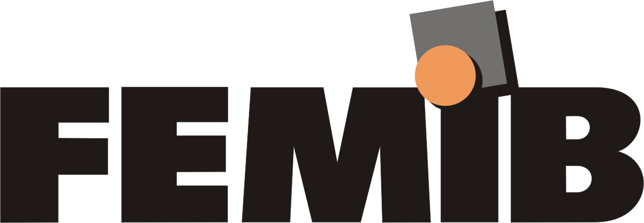Femib logo